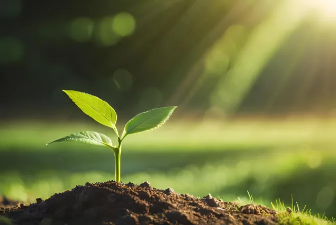 AGM Group Holdings Inc. Announces Effective Date of 50 for 1 Share Consolidation